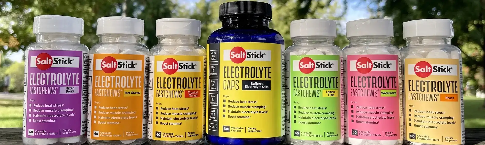 SaltStick